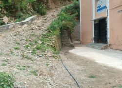 WhatsApp Image 2025-06-19 at 3.58.13 PM (2)